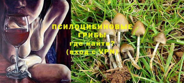 прущий лед Алексеевка
