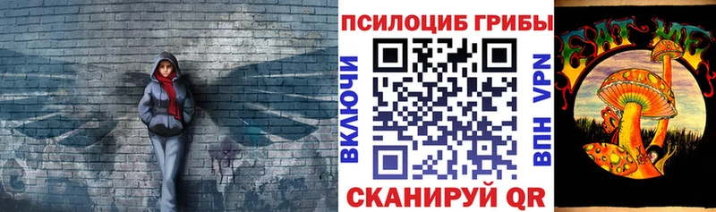 Псилоцибиновые грибы Psilocybine cubensis  Зеленоградск 