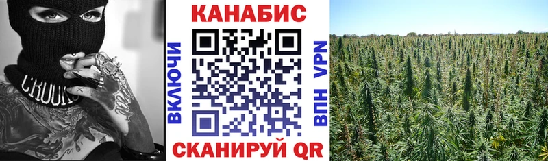 Бошки марихуана семена  закладка  Зеленоградск 